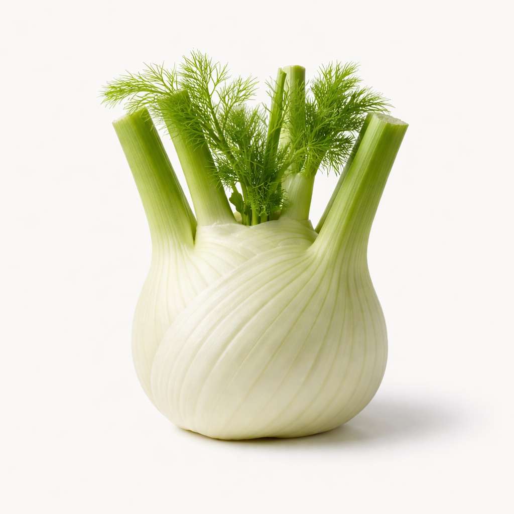 Fenouil